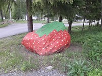 Leppavirta, kei-aardbei