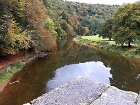 Bouillon
