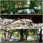Guerigny, park