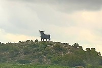 Espana, el torro