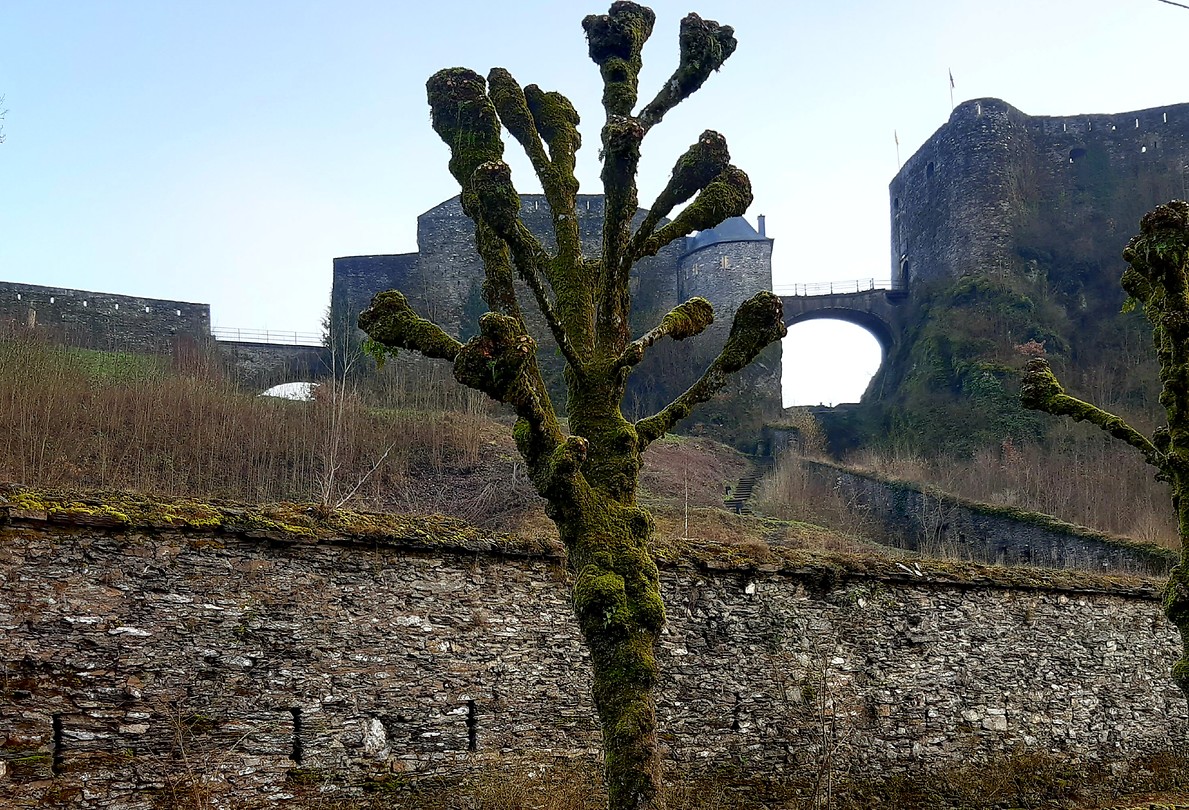 Bouillon, het fort Foto RiFra’s reisblog