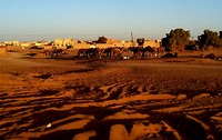 Merzouga,  drompies bij zonsopgang