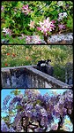 Evora, natuur
