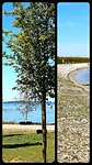 Harderwijk, langs het water
