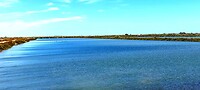 Tavira, inde verte flamingos