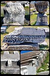 Bergama esklapion, details