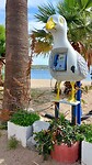 Bodrum, meeuw met telefoon