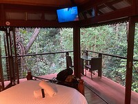 Uitzicht op de rainforest