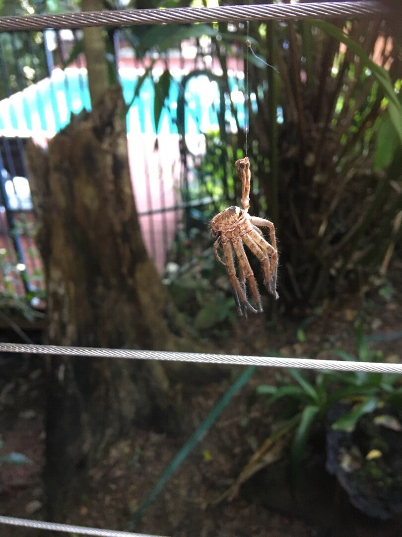 Gelukkig dood… jakkes