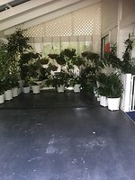 Ze houden hier van plantjes.
