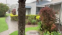 Tropical shower