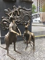 Nog steeds geen echte in het wild gezien….
