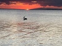 Toch niet de enige die naar de sunset kijken