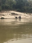 Mekong