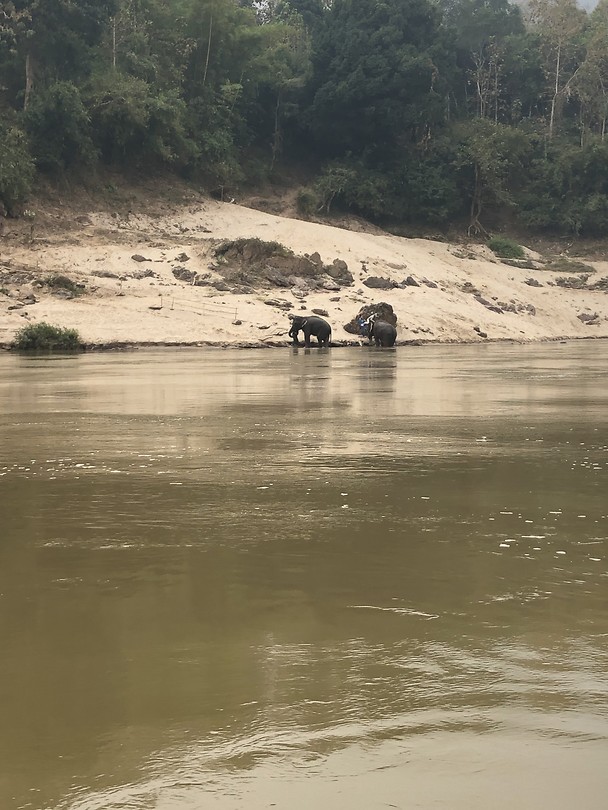 Mekong