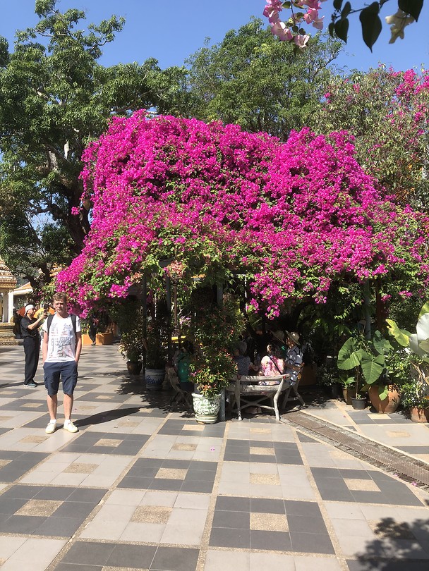 Doi Suthep