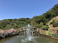 Keukenhof