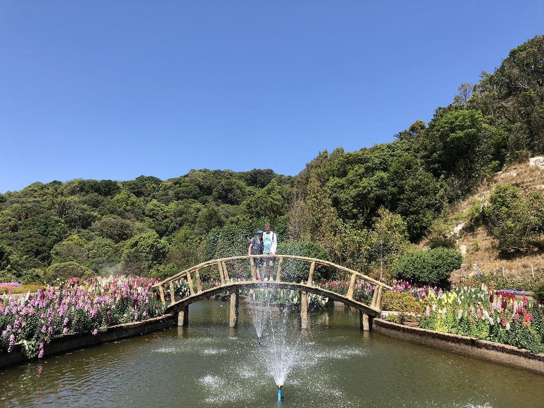 Keukenhof