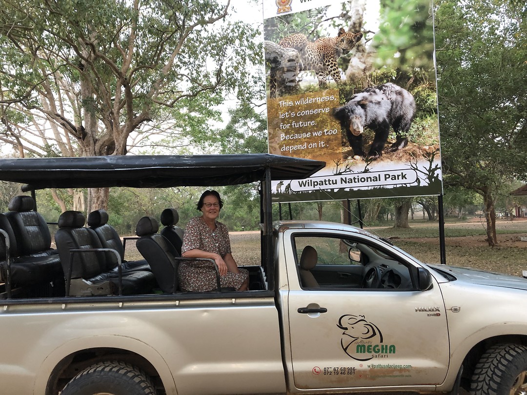 Safari