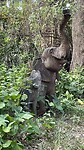 Houten olifant