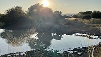 De neushoorns 🦏 lekker drinken