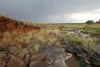 DSC00443