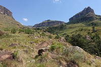 DSC00508