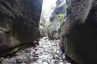 DSC00626