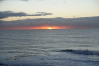 DSC00693