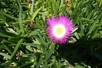 DSC00819