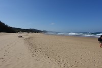 DSC00920