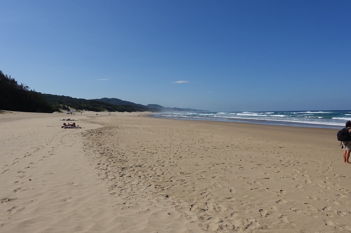DSC00920