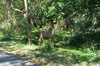 DSC00913