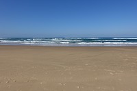DSC00922