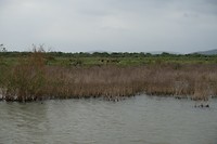 DSC00969