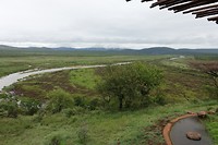 DSC01001