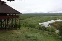 DSC01002