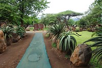DSC01023