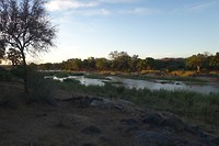 DSC01475