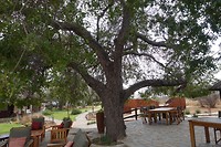 DSC01494