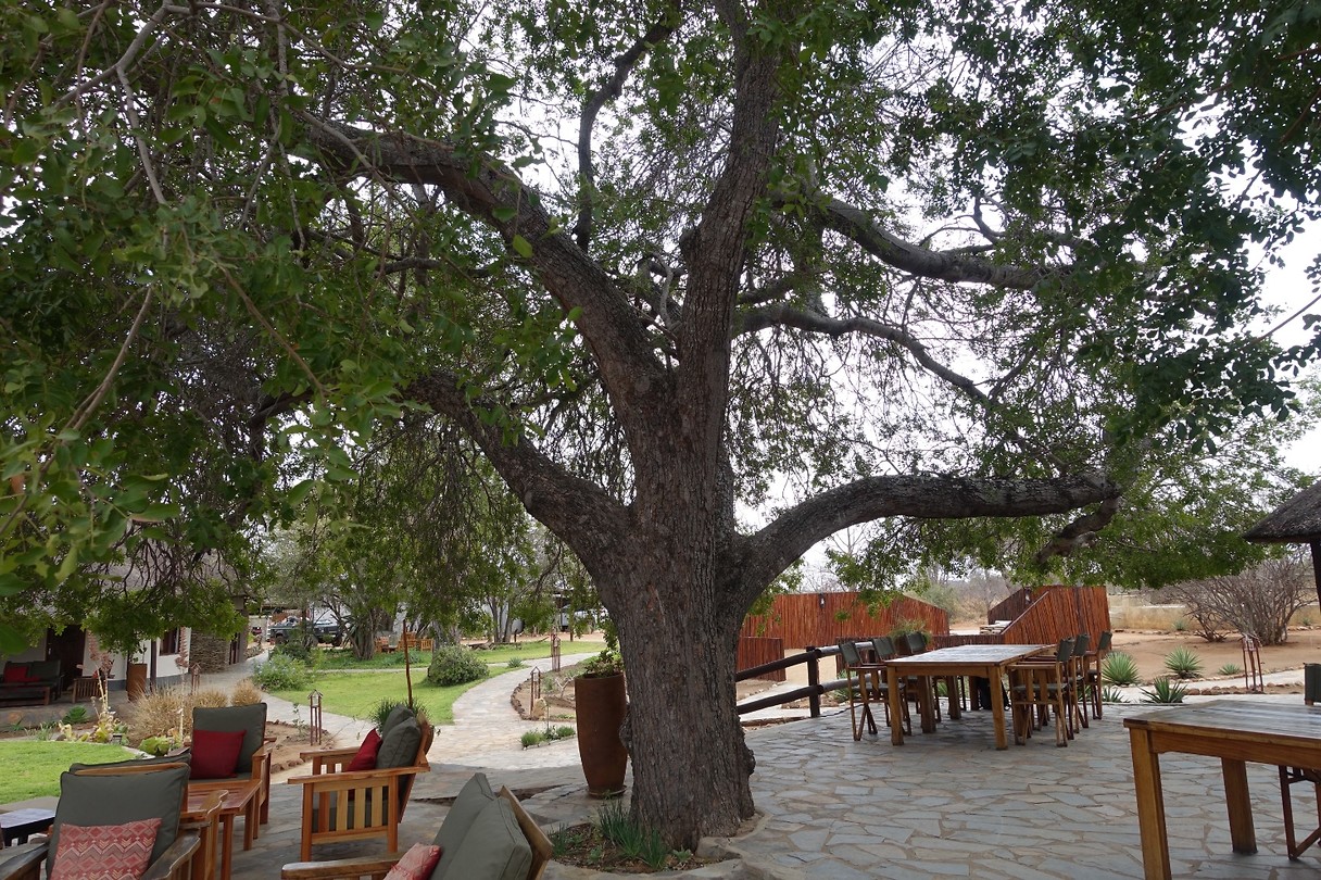 DSC01494