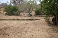 DSC01491