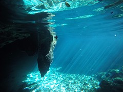 Onderwater bij de grand cenote