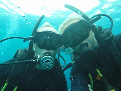 Duiken op Utila