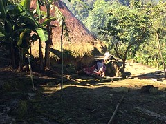 Inheemse bevolking van Ciudad Perdida