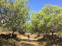 Wandelen in Barichara