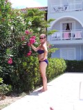 Willeke