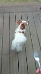 Aiv.mp3