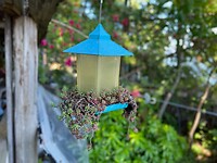 IMG_3229
