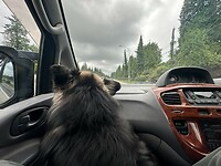 Ridin with Juneau Bear!